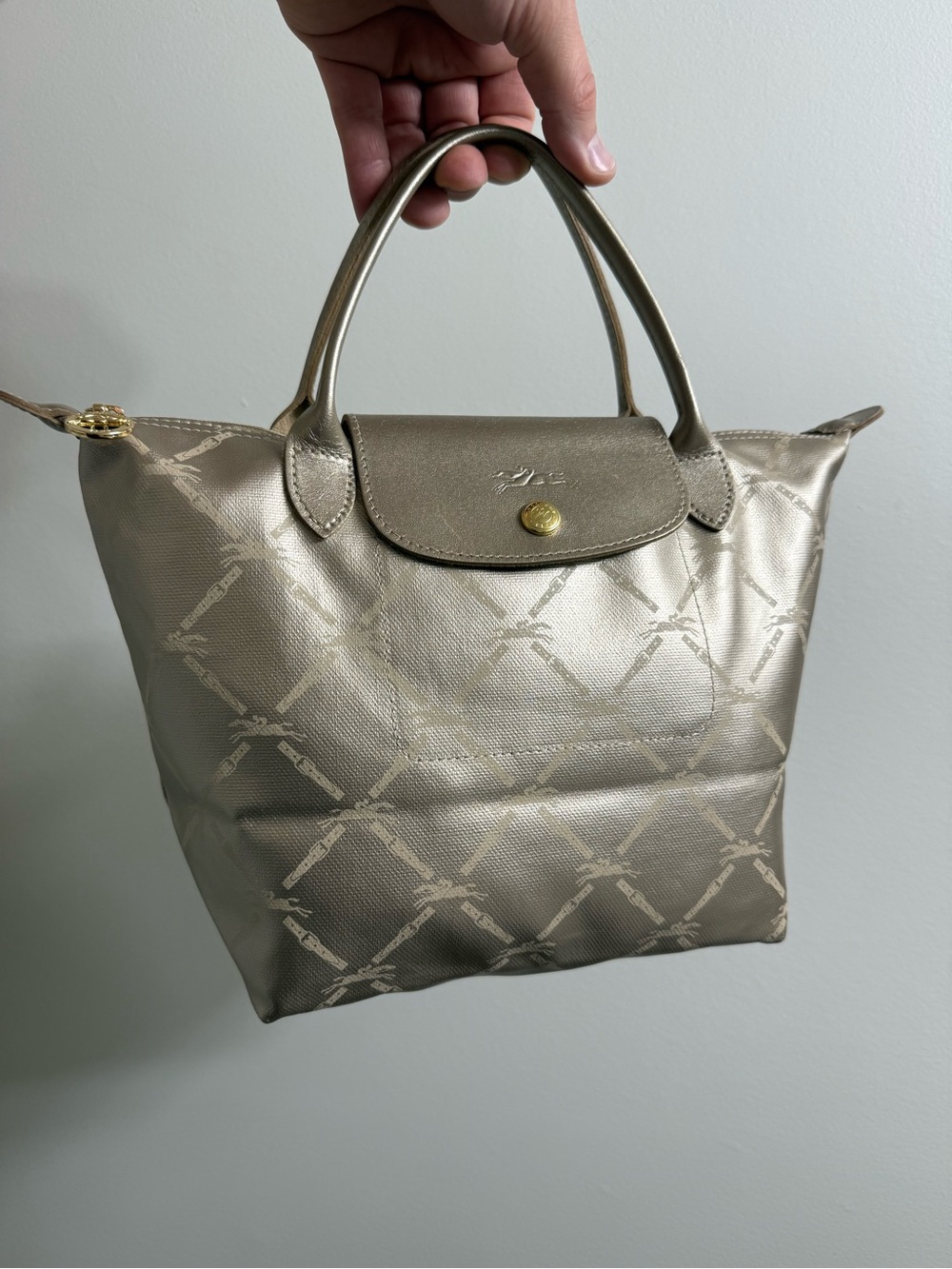 Limited Edition Metallic Longchamp Le Pliage Tote Small